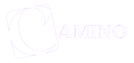 logo camino